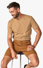 Arizona Shorts In Tobacco Fancy Print