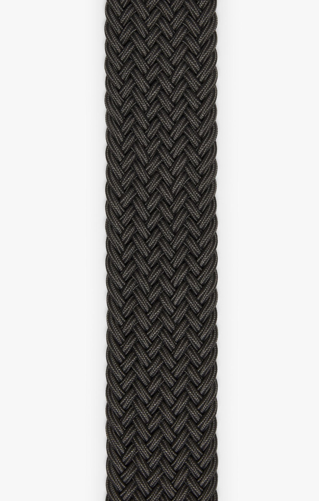 Woven Elastic Belt In Grey