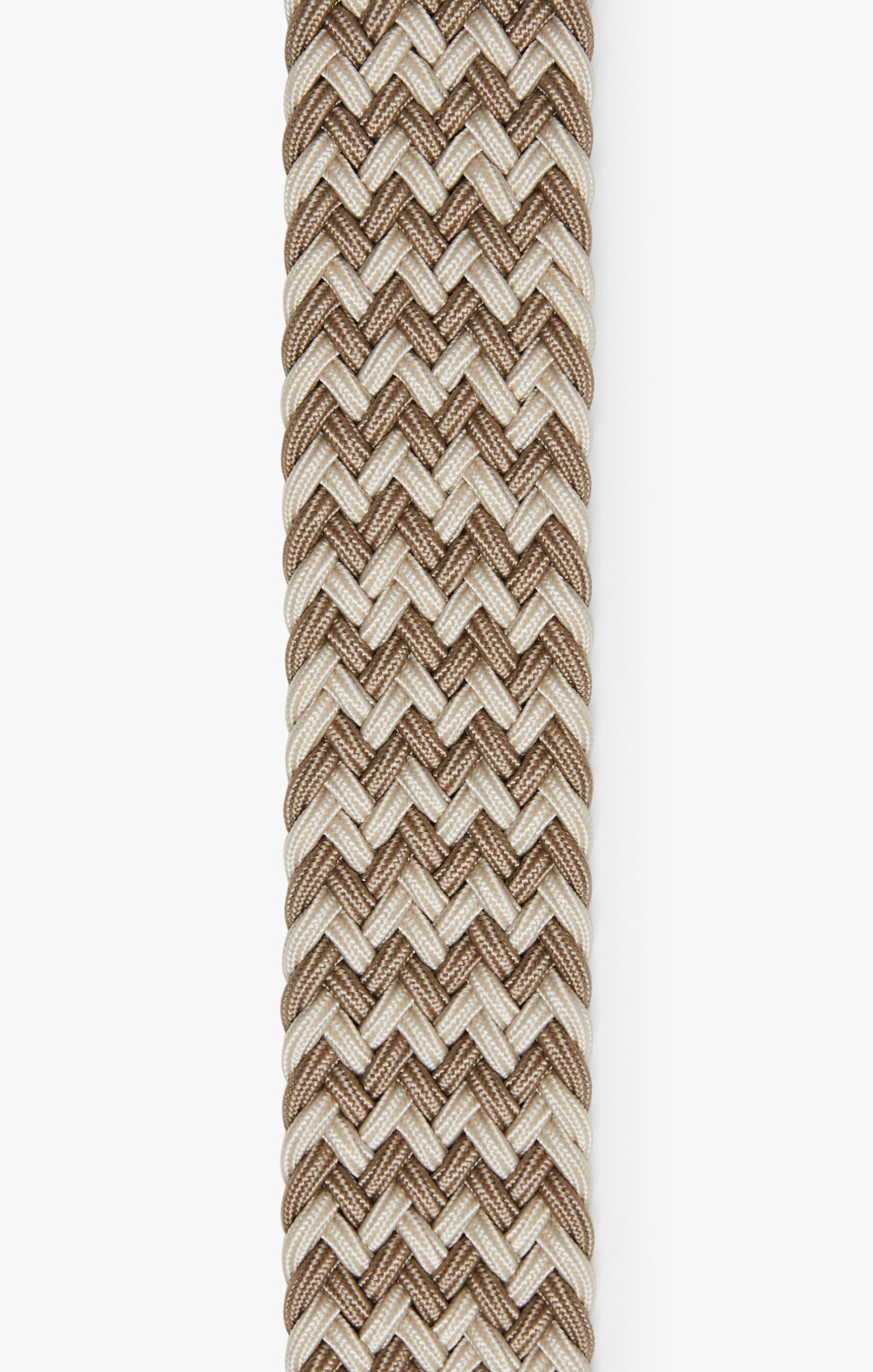 Elastic Belt In Multi Beige