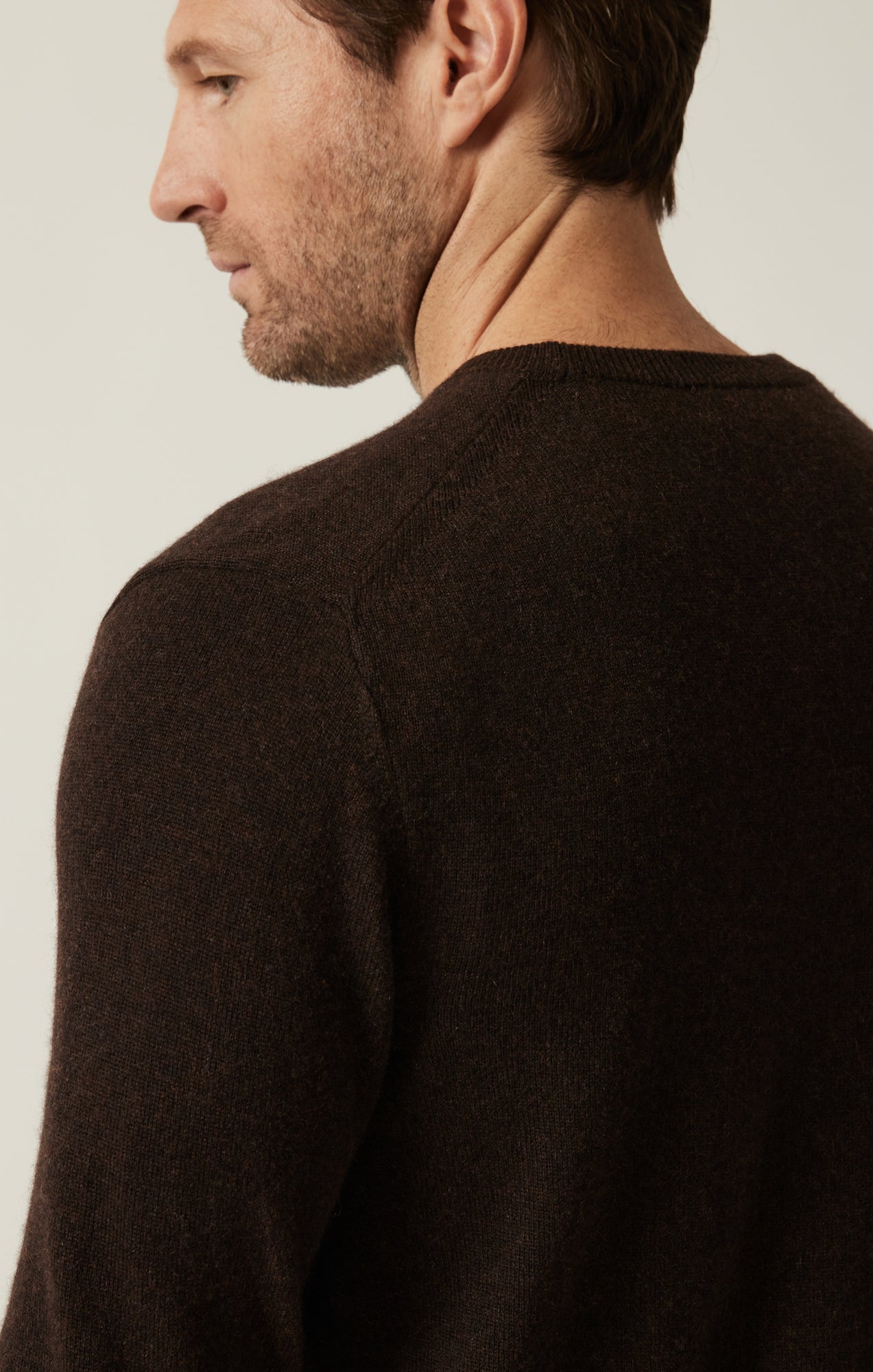 Cashmere Crew Neck Sweater In Brown